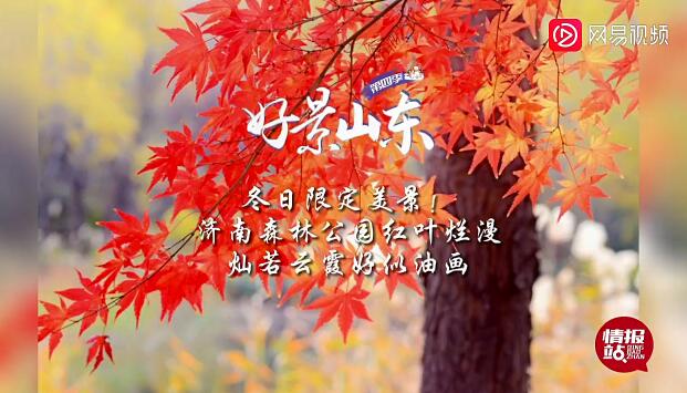 <a href=http://www.www23789.com/ target=_blank class=infotextkey>齊魯晚報</a>公章丟失登報
