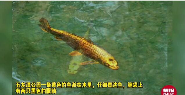 <a href=http://www.www23789.com/ target=_blank class=infotextkey>齊魯晚報</a>登報電話