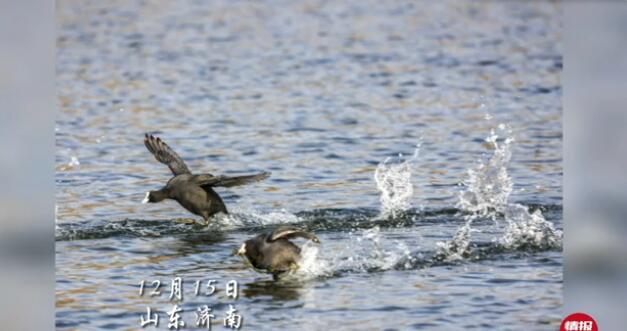 <a href=http://www.www23789.com/ target=_blank class=infotextkey>齊魯晚報</a>掛失
