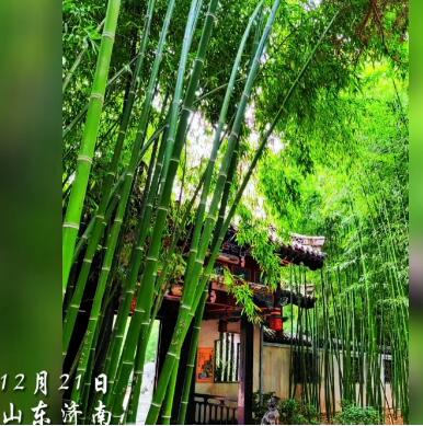 <a href=http://www.www23789.com/ target=_blank class=infotextkey>齊魯晚報(bào)</a>遺失聲明