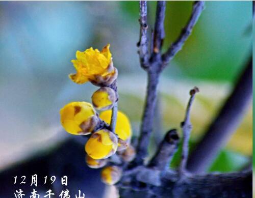 <a href=http://www.www23789.com/ target=_blank class=infotextkey>齊魯晚報</a>公告多少錢
