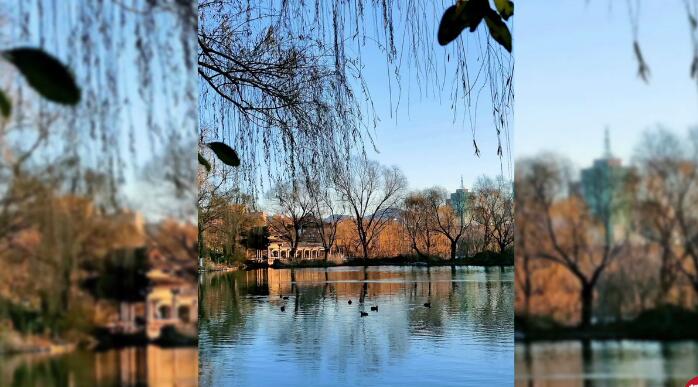 <a href=http://www.www23789.com/ target=_blank class=infotextkey>齊魯晚報</a>登報電話是多少