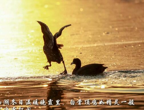 <a href=http://www.www23789.com/ target=_blank class=infotextkey>齊魯晚報</a>登報多少錢