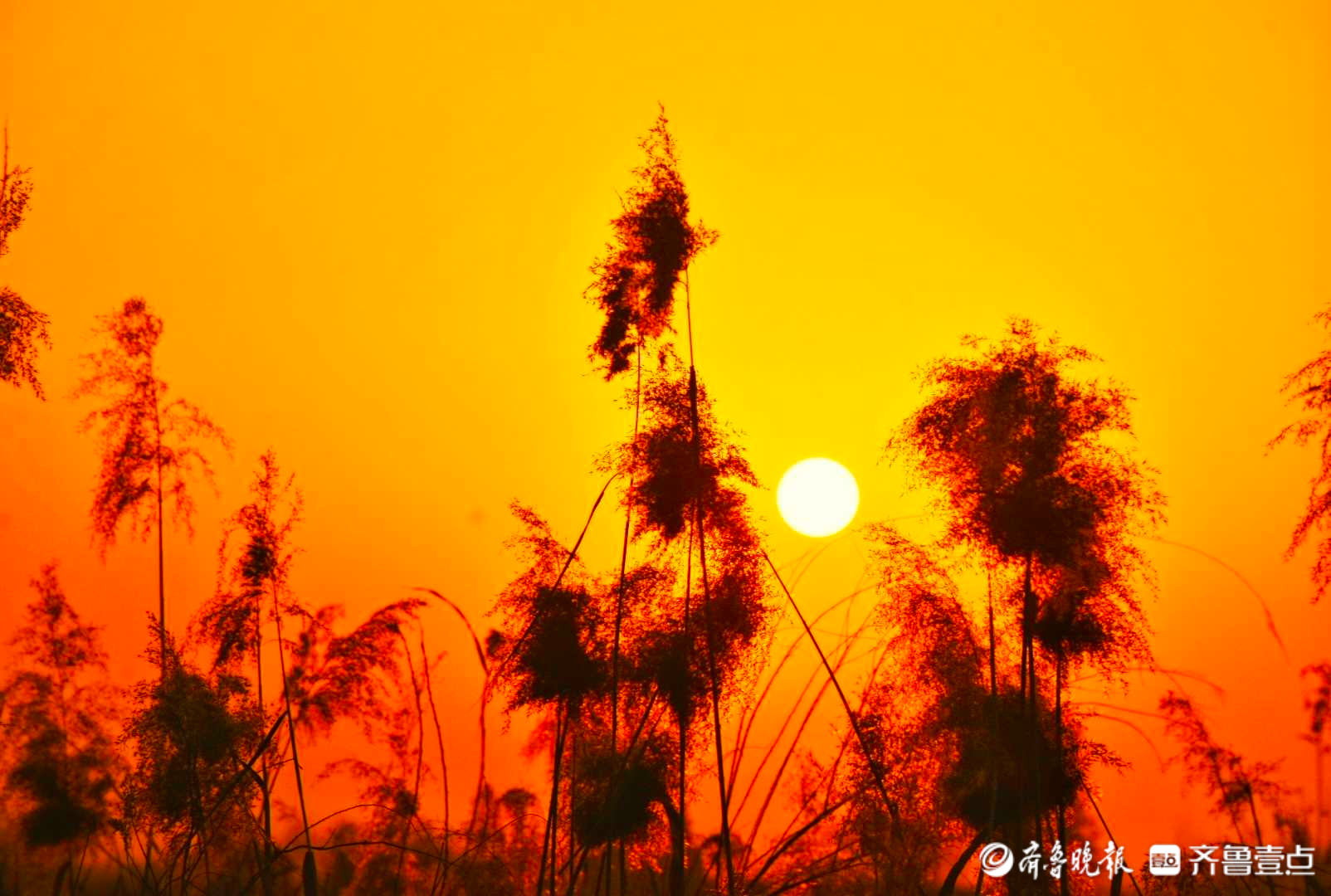 <a href=http://www.www23789.com/ target=_blank class=infotextkey>齊魯晚報</a>登報聯系方式